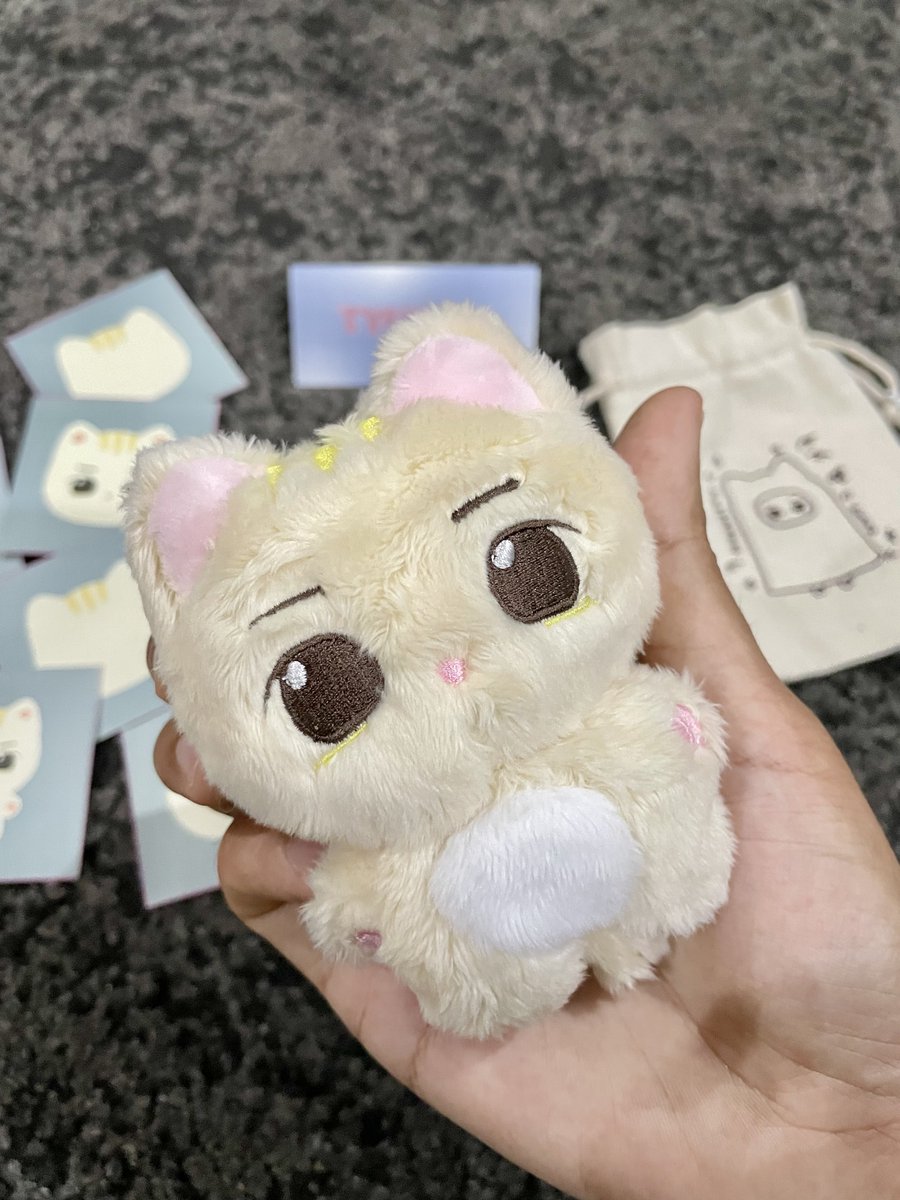 iamfiyoo's tweet photo. First in first of course my Tyundung is here!!!! OMG totally cute!!! 🥹😍❤️❤️❤️❤️❤️ Welcome home! I’m gonna bring u to trips so lets!! Thank you for designing and selling such a cute doll @tyundunge !! 🥰🥰🥰 Totally in love!! https://t.co/oJaVl2nvhF