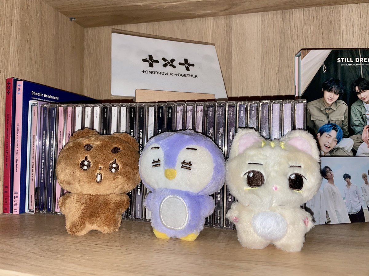 First in first of course my Tyundung is here!!!! OMG totally cute!!! 🥹😍❤️❤️❤️❤️❤️ Welcome home! I’m gonna bring u to trips so lets!! Thank you for designing and selling such a cute doll <a href="/tyundunge/">ᴛʏᴜɴᴅᴜɴɢ</a> !! 🥰🥰🥰 Totally in love!!