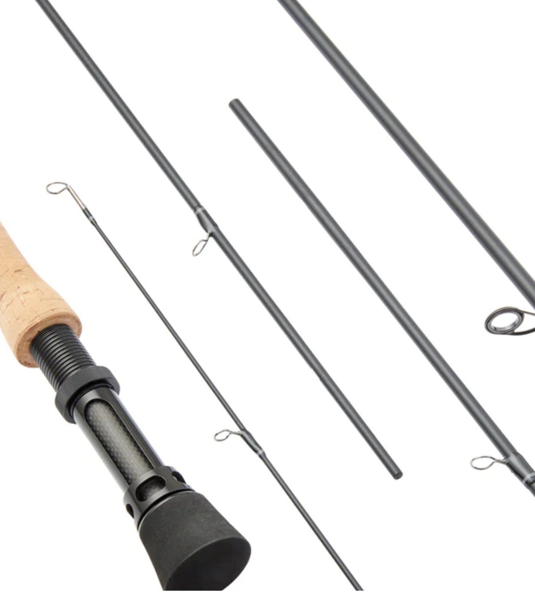 Sunray Fly Fish tweet media