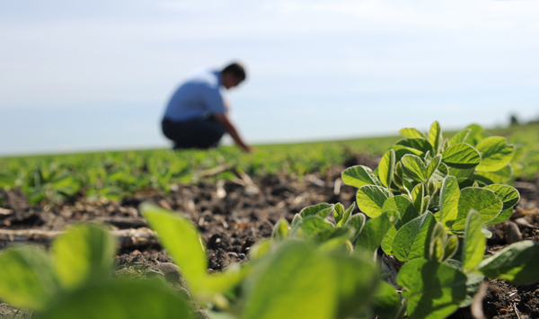 New featured #job opening in our Career Center!

The <a href="/USDA/">Dept. of Agriculture</a> Dairy Forage Research Center in Marshfield, WI is hiring a Research Agronomist/#Soil Scientist/Biologist. Apply here: ow.ly/2BRP50NBjSG