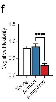 PNASNexus's tweet photo. Method alert: To aid in studying the genetic correlates of cognitive decline in aging mice, researchers propose a home-cage behavioral test to separate mice into cognitively ‘intact’ and ‘impaired’ subgroups. In PNAS Nexus: https://t.co/Hxf60R848b https://t.co/ilN8eHqMl5