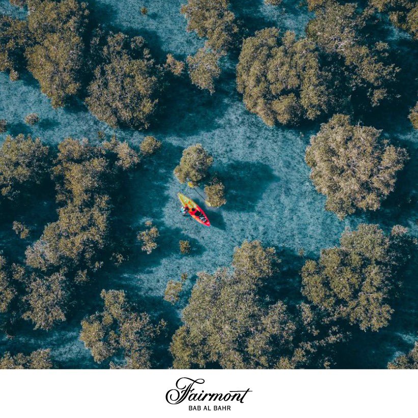 Experience the beauty of Jubail Mangrove  - kayak, birdwatch, and more!

اكتشف جمال حديقة قرم الجبيل - قم بتجديف الكاياك، شاهد الطيور،...

📸: <a href="/oussy5/">Oussy</a>

#UAE