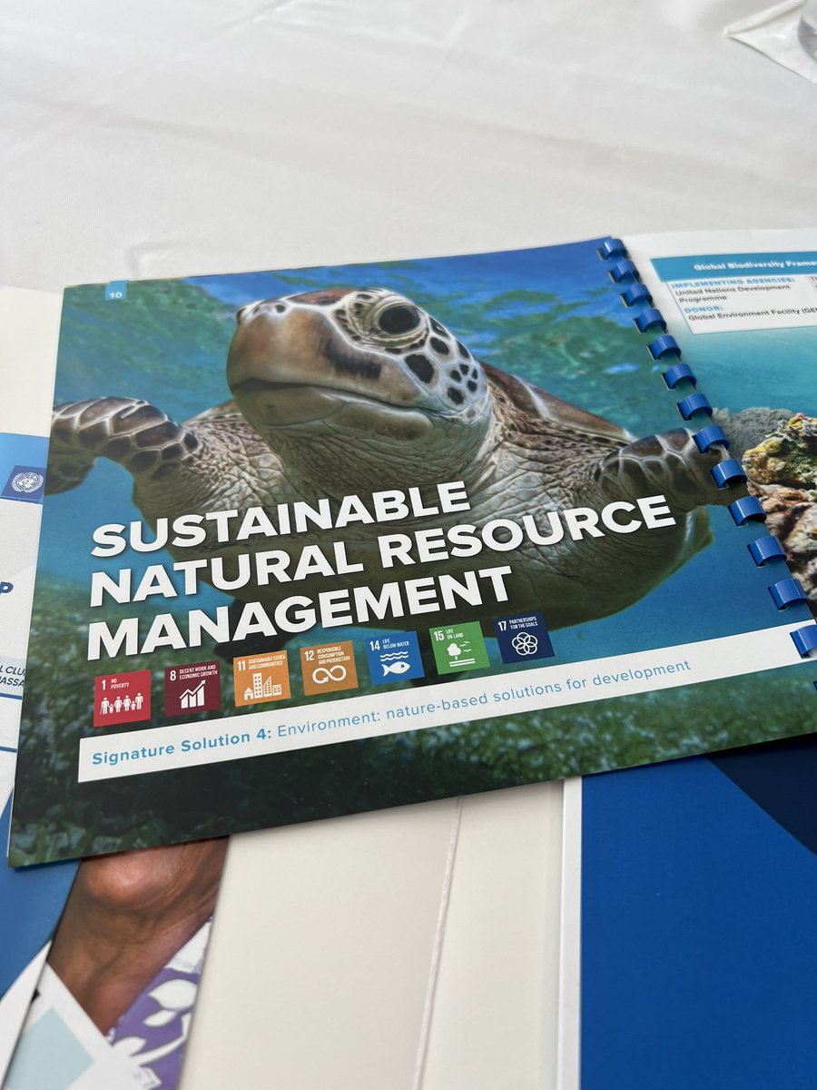 AliJerusa's tweet photo. Priority areas: Sustainable Natural Resource Management & Climate Change Resilience #TheBahamas #Development #partnerwithUNDP @UNDPJamaica @MOFABahamas https://t.co/0EyKlONXtQ