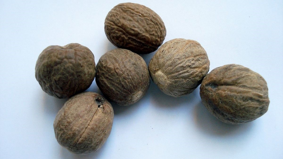 Our latest investing app review is @thenutmegteam, arguably the oldest and best-known digital investment app in the market. Here are our views.

comparetheplatform.com/nutmeg-a-new-a…

#Platformreview #Nutmeg #Investing #review #Invest #Investinguk #learntoinvest