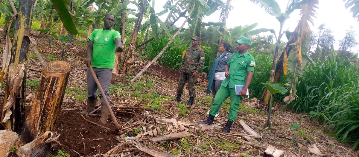 Fumbwe Sector tweet media