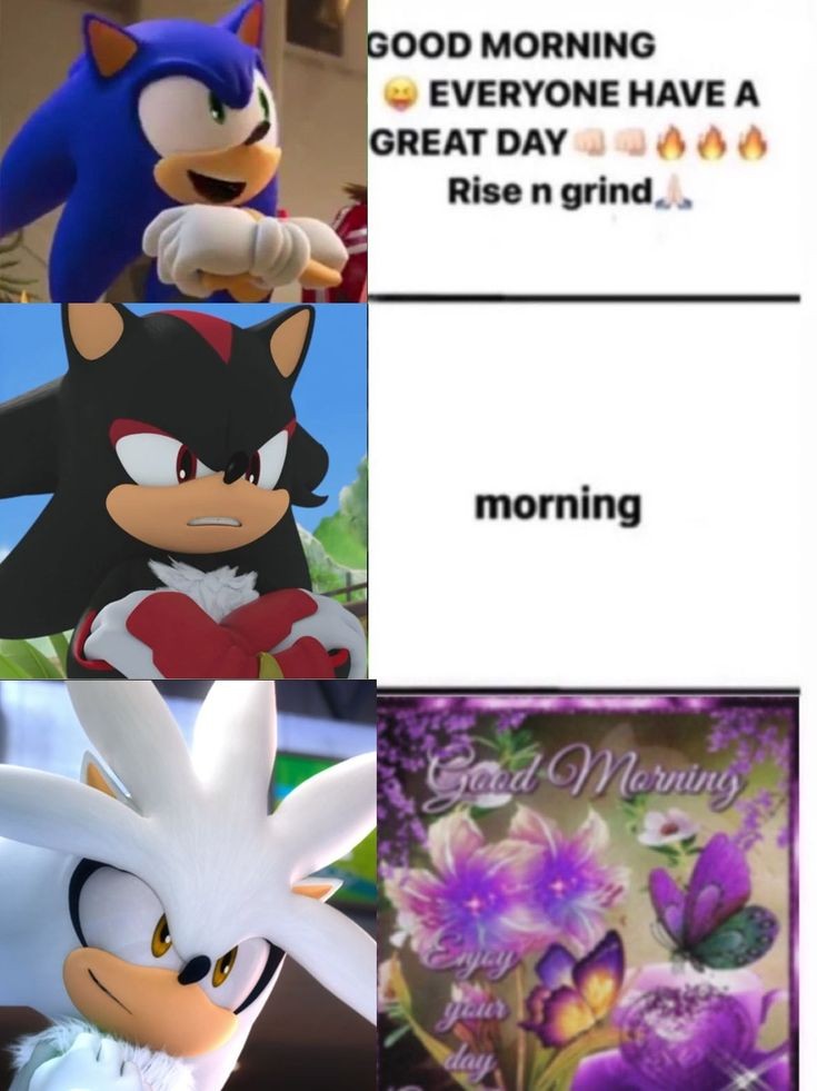 Shadow meme  Sonic and shadow, Sonic funny, Goofy pictures