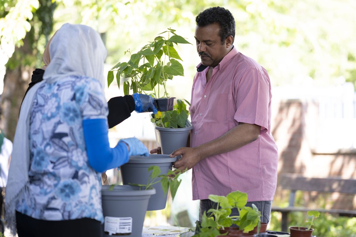 SAfoodforlife's tweet photo. Are you holding a Plant and Share activity in your school, community or at home?
We'd love to see what you're up to - please share photos, videos or stories of your #FFLGetTogether!πΈπ₯π
Tag #PlantAndShare and @safoodforlife π
Find out more π
https://t.co/H3BosqWIQW https://t.co/KAZRD5I8ZT