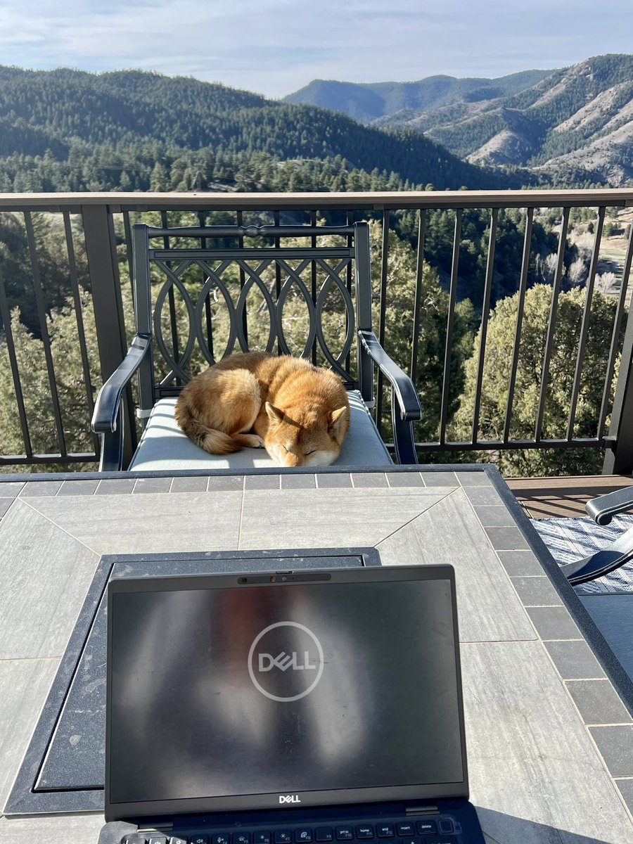 Kimling Lam tweet media