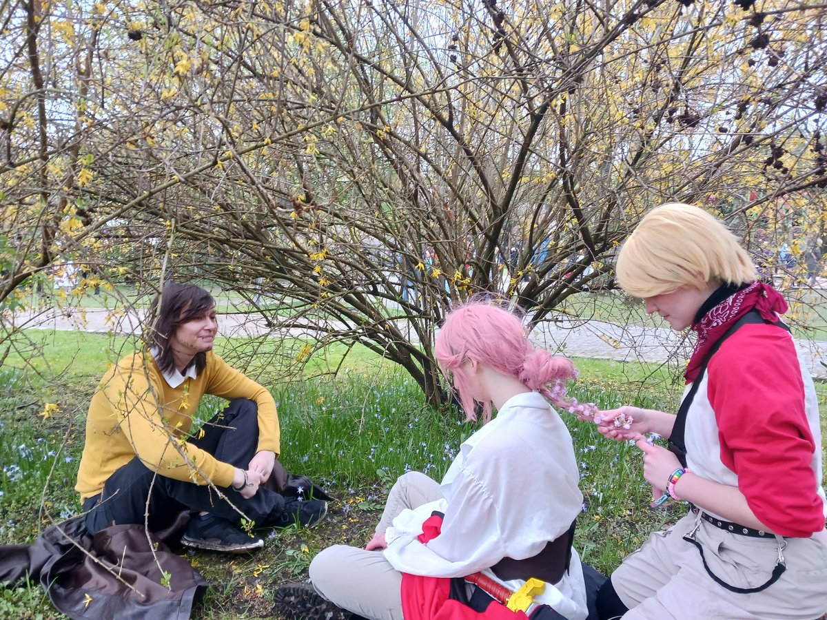 zheLocalBee's tweet photo. Passerine Inspired Pictures from Yesterday :D
We climbed into a Bush cuz it looked prettier from inside it rather from before it xD https://t.co/NIiVkQOyDL