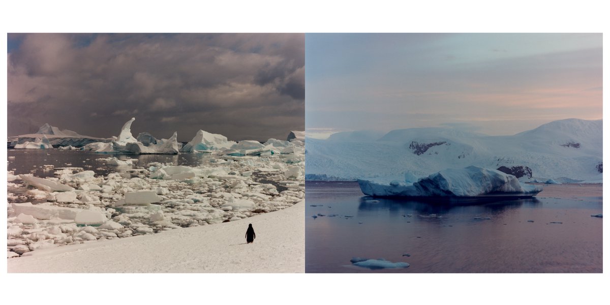 Mission Magazine tweet media