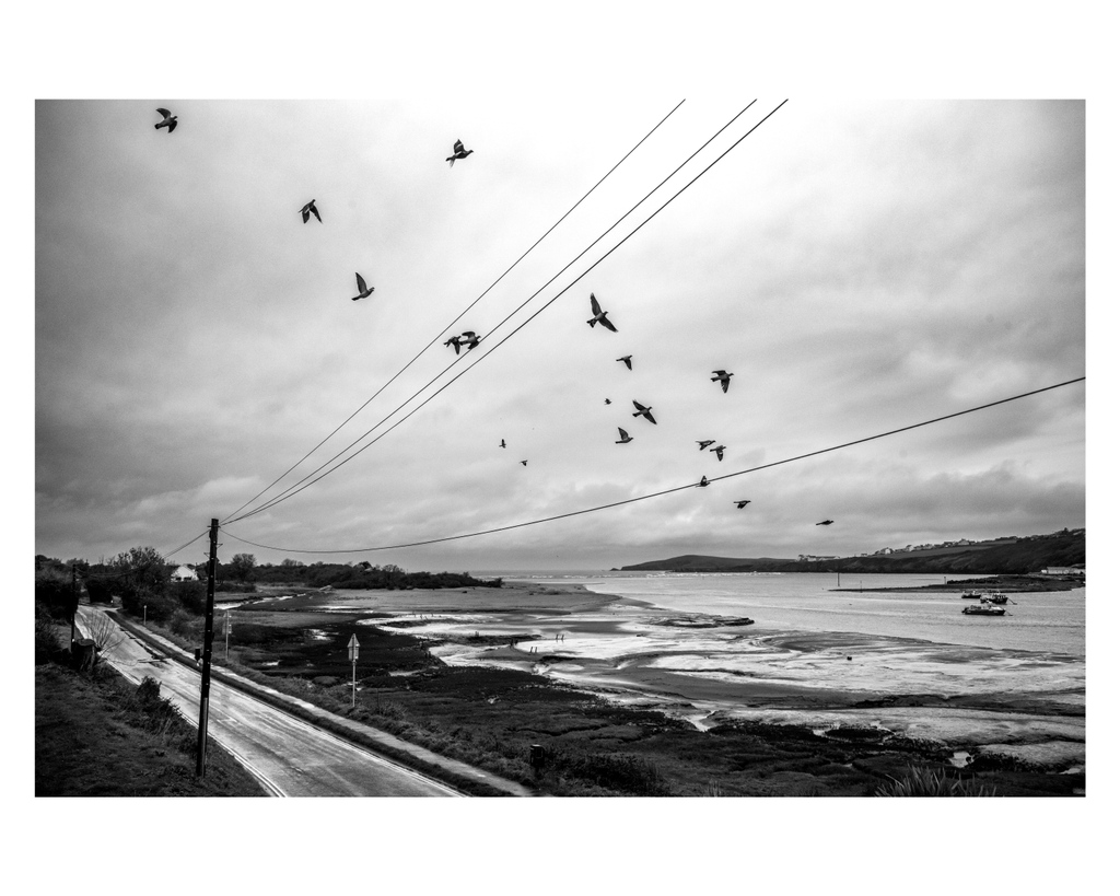 Images taken on the new Leica M11 Monochrome… 60MP triple resolution sensor (no Bayer filter), 15 stops dynamic range, 256 GB memory, and ISO from 125 up to 200,000.