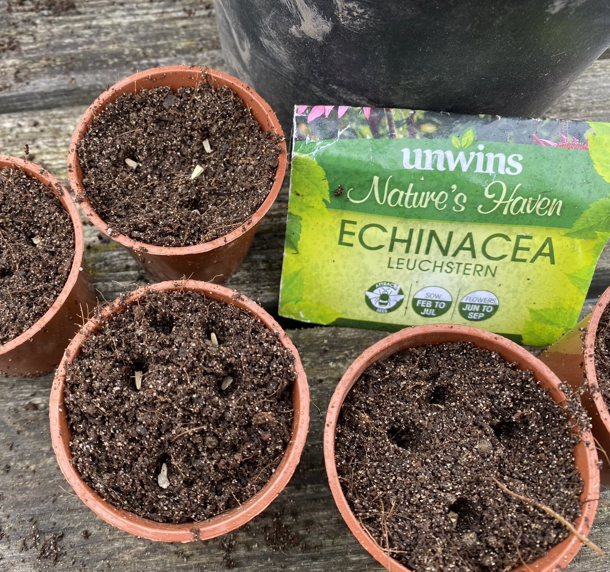 myKFCA's tweet photo. Today we have planted more spuds, sowed flower seeds to attract pollinators and put a shelf together in the hut @LpoolCityRegion #GreenLCR @TNLComFund #AwardsForAll @CF_Merseyside #KFCA #KennyFields https://t.co/vJIGsQuFbu
