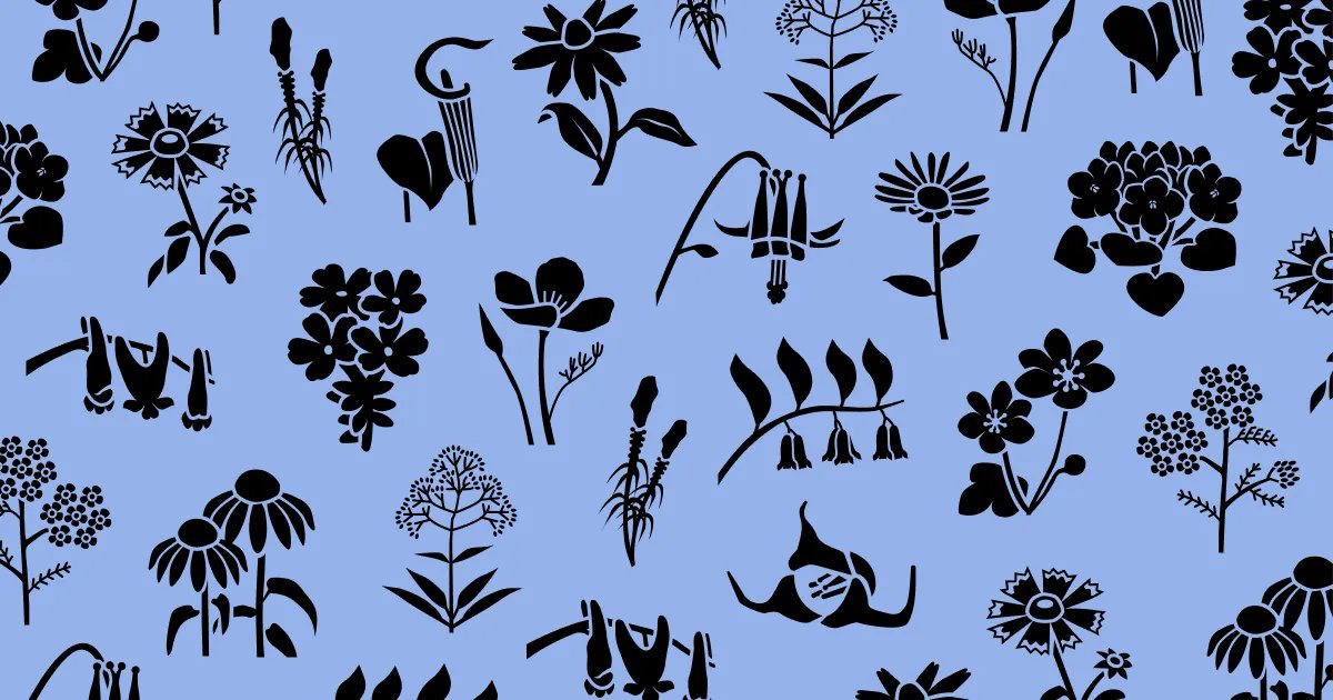 Noun Project on Twitter "Wildflowers by Parjiksun https//buff.ly/43BwR3i 🌷 FloralArt 