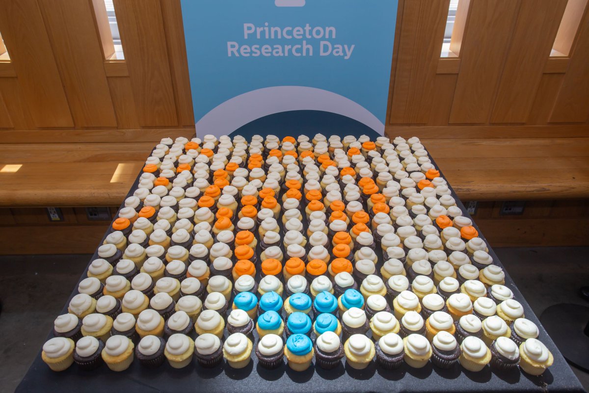 Princeton University Research tweet media