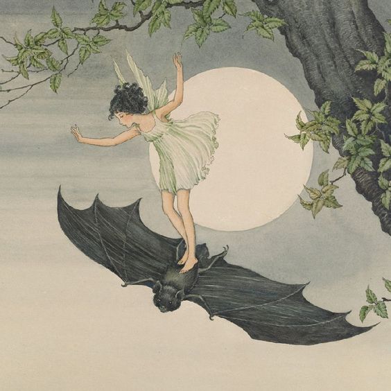 starting my fairy 🧚‍♀️era uwu gm!