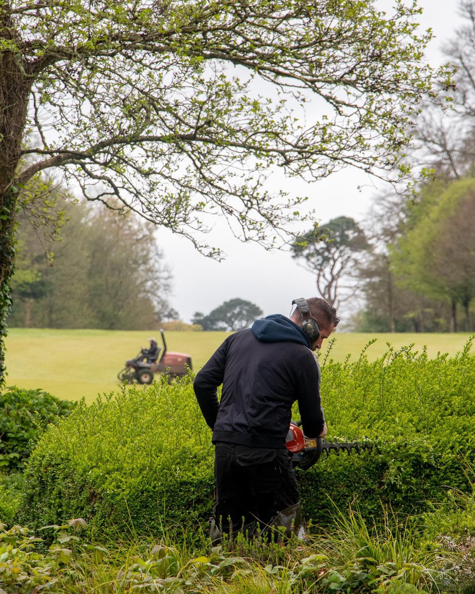 FotaIsland's tweet photo. 🌳 | Our gardeners and groundskeepers are busy preparing for the summer season. Exciting to see all of the flowers and trees blossom across the 780 acres of Fota Island Resort. 

#Flowers #Trees #Gardens #FotaIslandResort #PureCork #KeepDiscovering https://t.co/Y7wIyX8cgJ