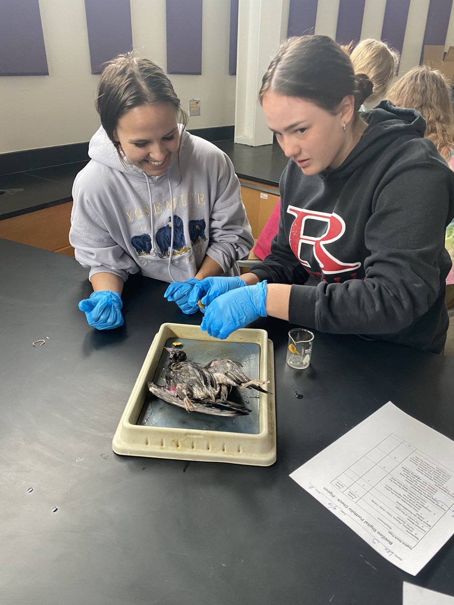 RienasScience tweet media