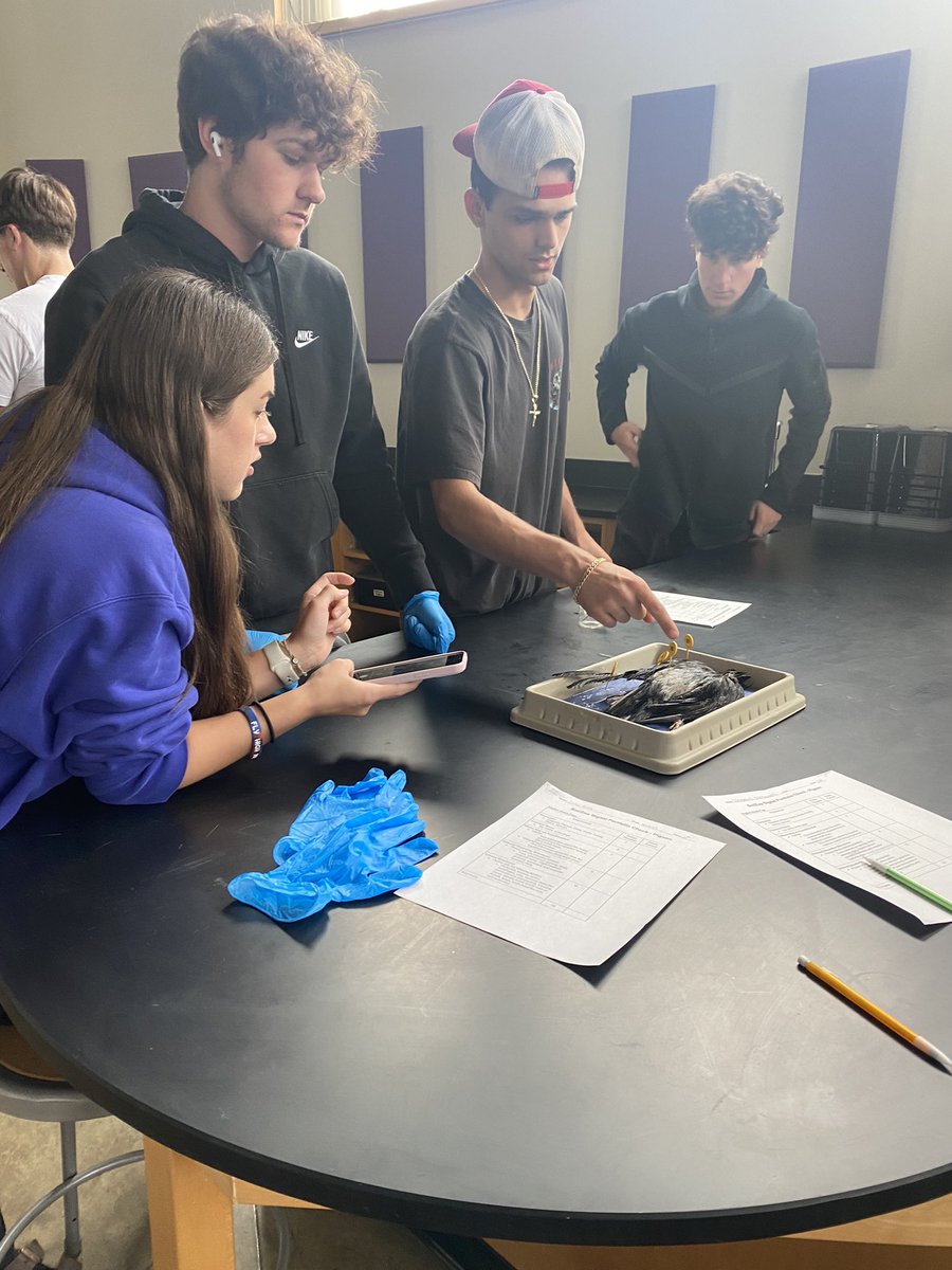 RienasScience tweet media