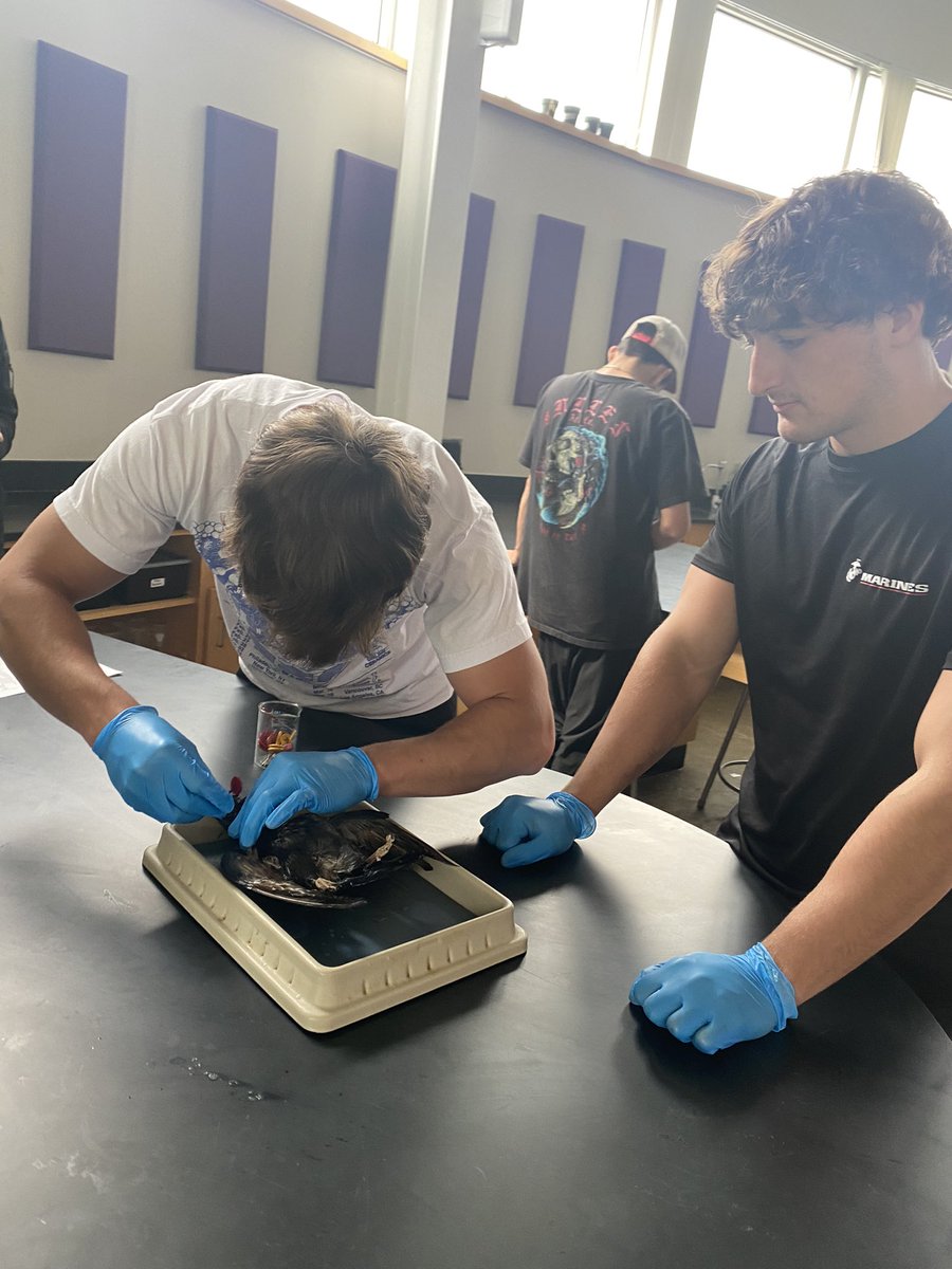 RienasScience tweet media