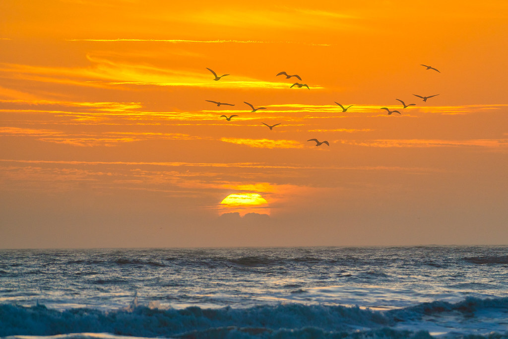 nixter's tweet photo. amazing start, my new picture on #Flickr https://t.co/FnLBU3sygz #Photography https://t.co/hj55NCYyoi