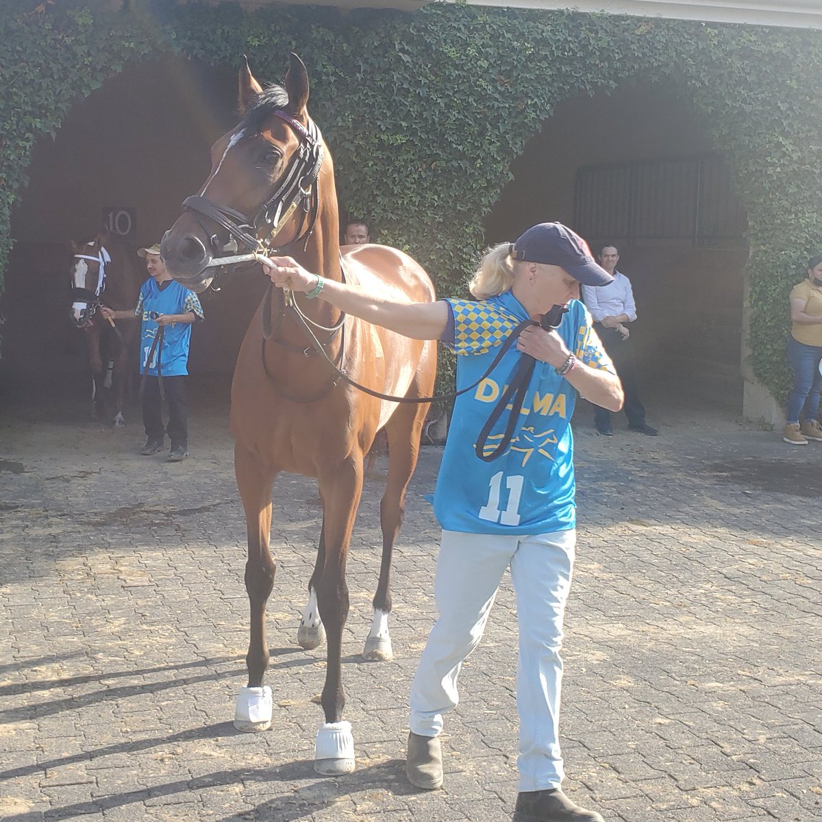 sdhorserace tweet media