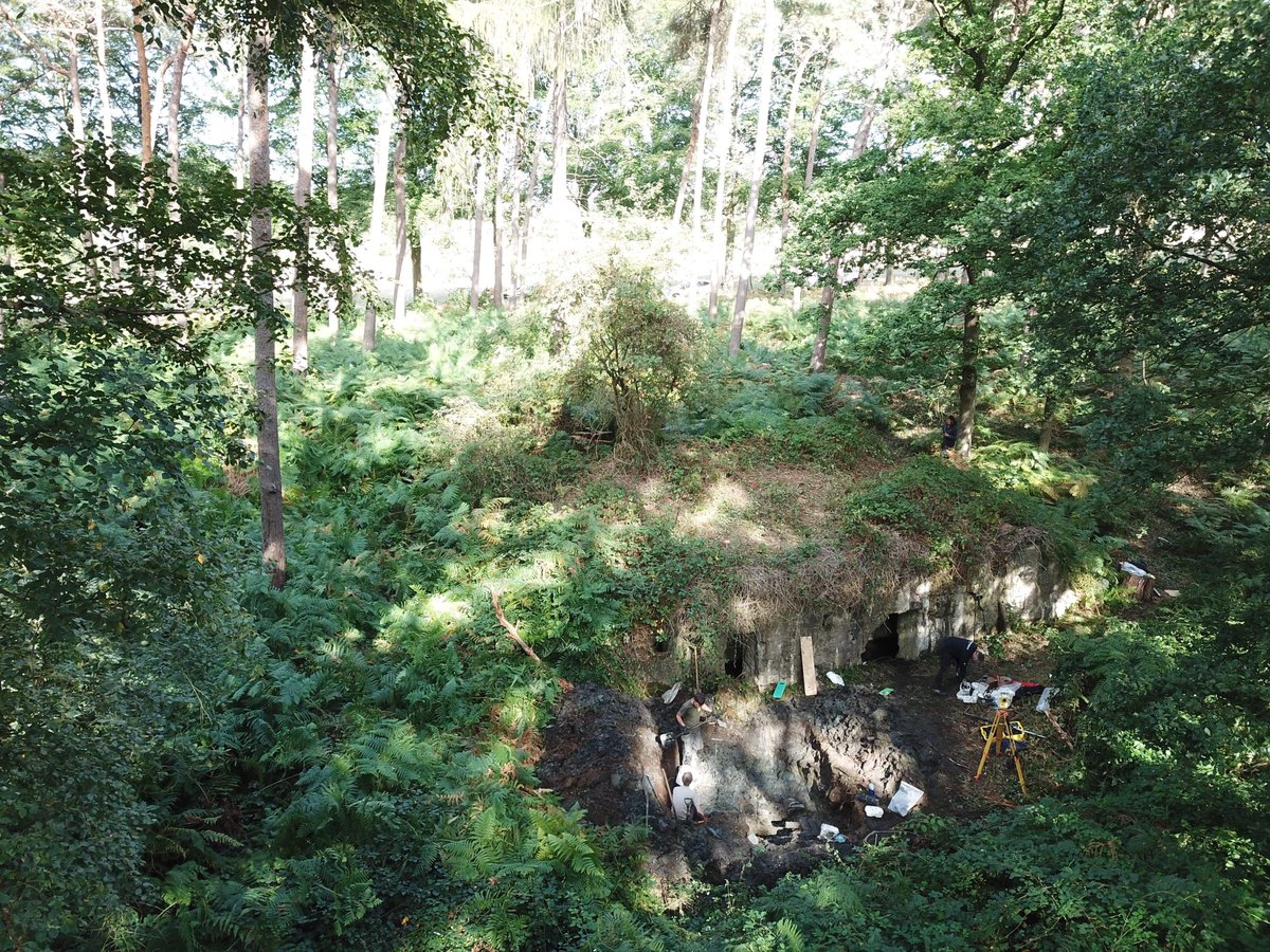 Simon Verdegem tweet media