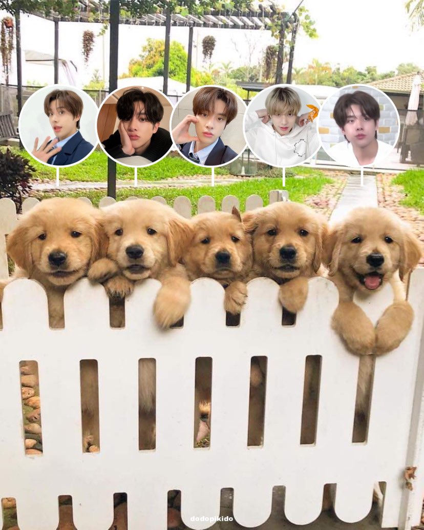 tinypikijake's tweet photo. แฝดเด้นเต้ดๆรายงานตัวฮับแม่ ~ 🐶🌟🍼 https://t.co/OeEyRXk6fW