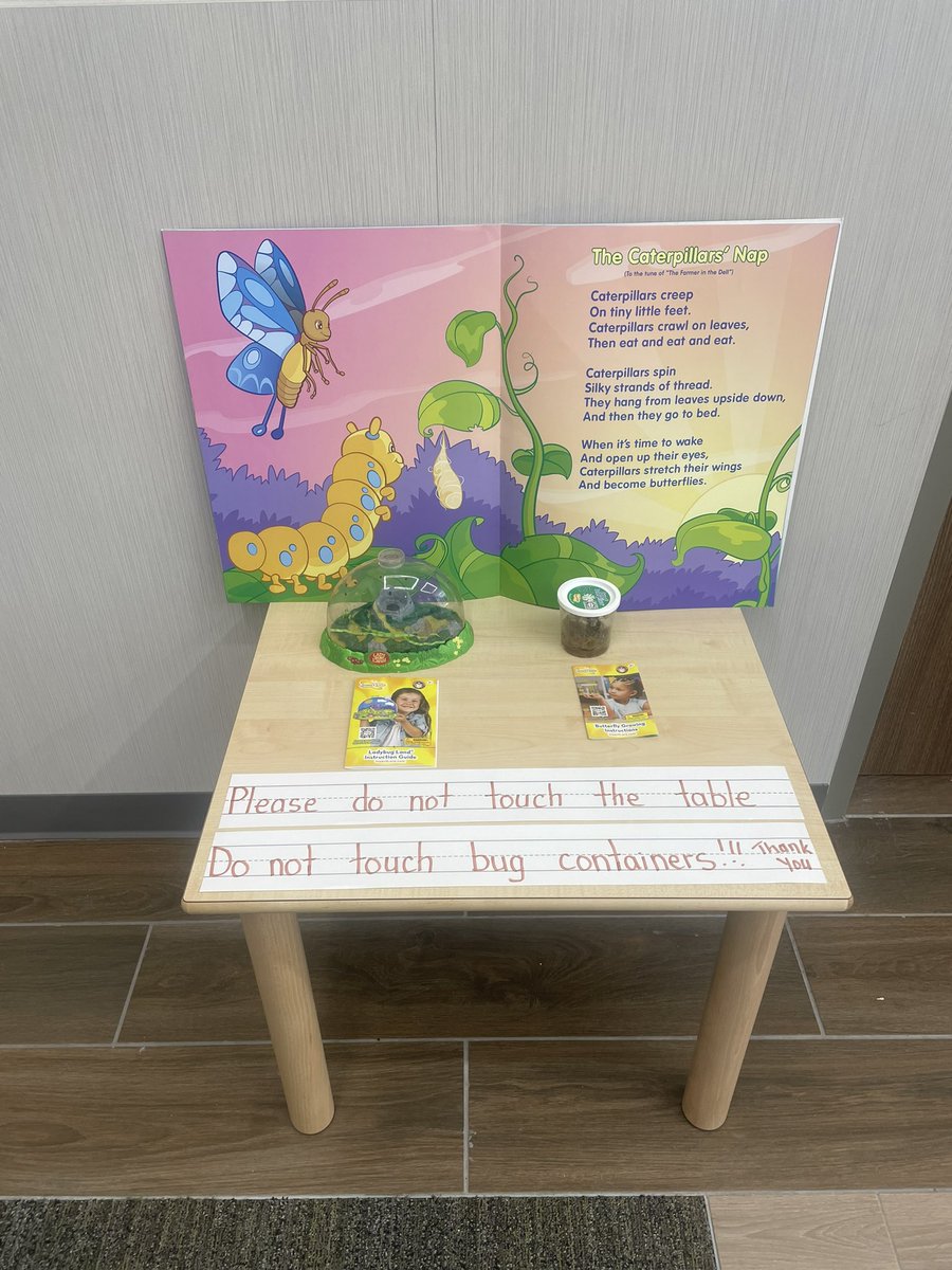 JThomas_Stovall's tweet photo. Bug update!!! Look at how beautiful these little creatures are growing. Life cycles are so to learn about in real time. Shoutout again to the @ace_pto for helping make these possible for kids to experience! #aceScience @HumbleISD_ACE https://t.co/Sv7nscpoIJ