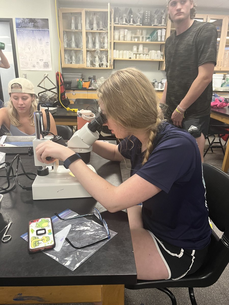 WCDS_Science's tweet photo. Students in the Marine Biology class went on a 4 day trip to the marine research lab at UNCW and completed research projects while there. This was an unforgettable experience for these students!  #WCDSScience #WCDSBiology #WCDSAcademicExcellence #WCDSUpperSchool https://t.co/5Ww4eV210e