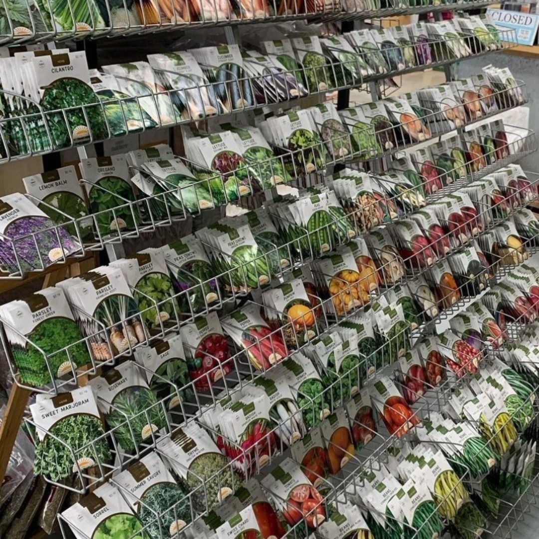 Plant Something Together tweet media