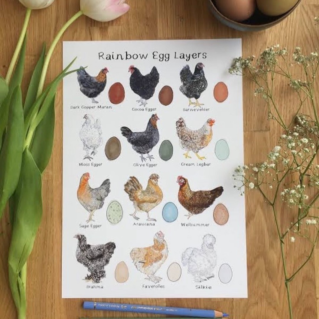 Plant Something Together tweet media