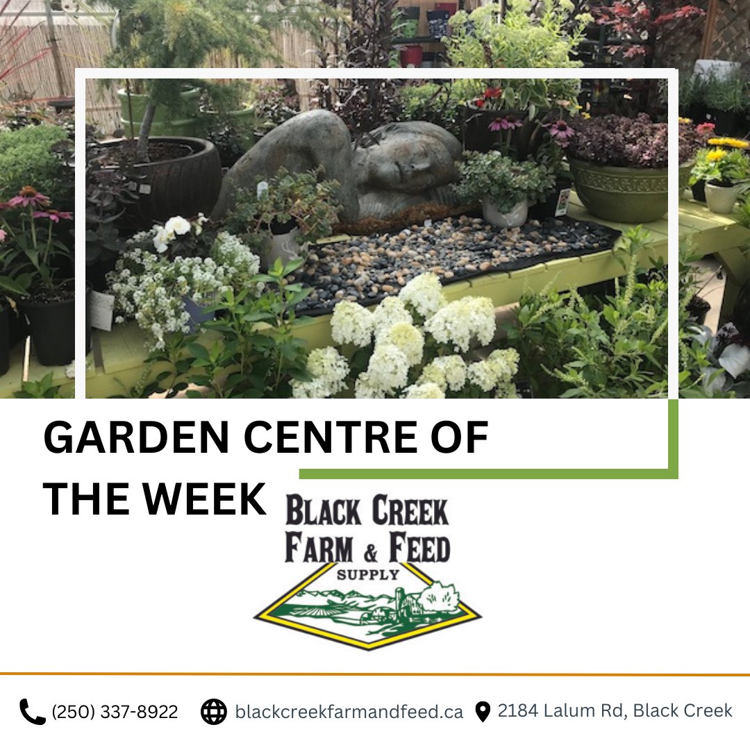 Plant Something Together tweet media