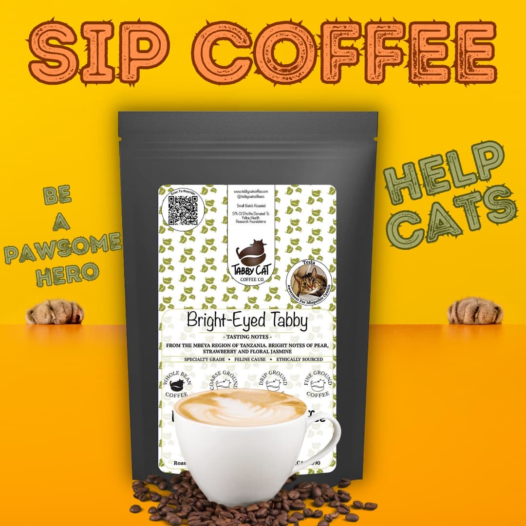 😻☕️ Be a pawsome hero! Sip great coffee, help cats! 

#likeshare #coffeewithapurrpose #tabbycatcoffeeco #specialtycoffee #catsandcoffee #felinehealth #felinehealthawareness #felinemedicine #sipcoffeehelpcats #CatsOfTwitter #coffeewithacause