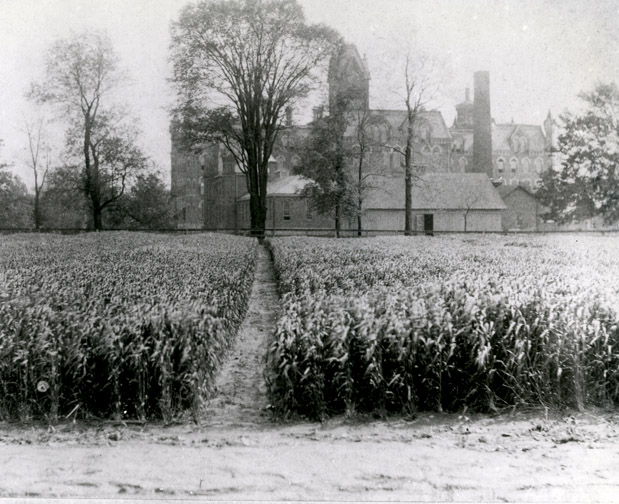 BuckeyeHistory's tweet photo. #OTDatOSU in 1881: The Ohio General Assembly vote to establish the Agricultural Experiment Station at the Ohio State University. At this station, faculty conducted research and studied methods to be passed onto the state’s agriculture community. 🌽🚜 https://t.co/dV8gkalVA6 https://t.co/afCq7nEFRL