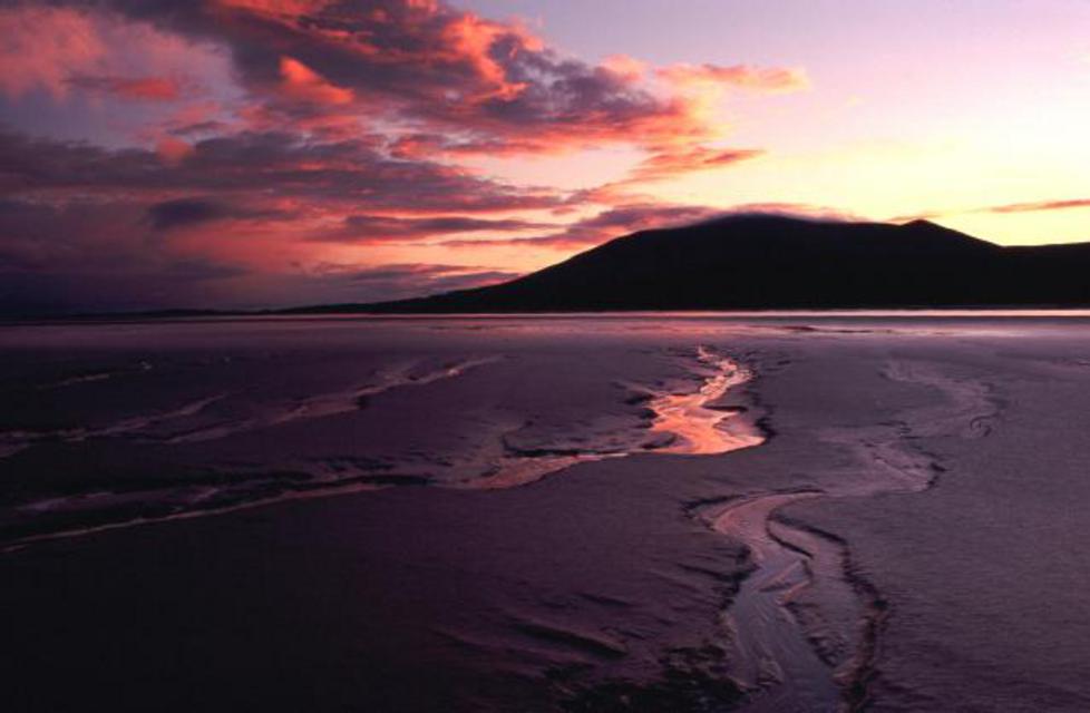 NatureScotSouth tweet media