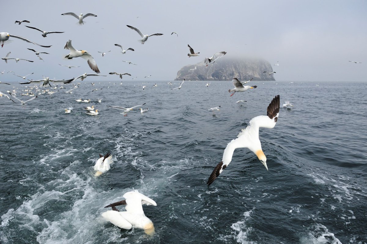 NatureScotSouth tweet media