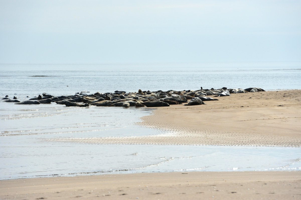 NatureScotSouth tweet media