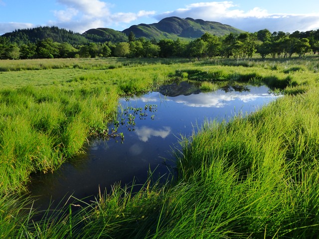 NatureScotSouth tweet media