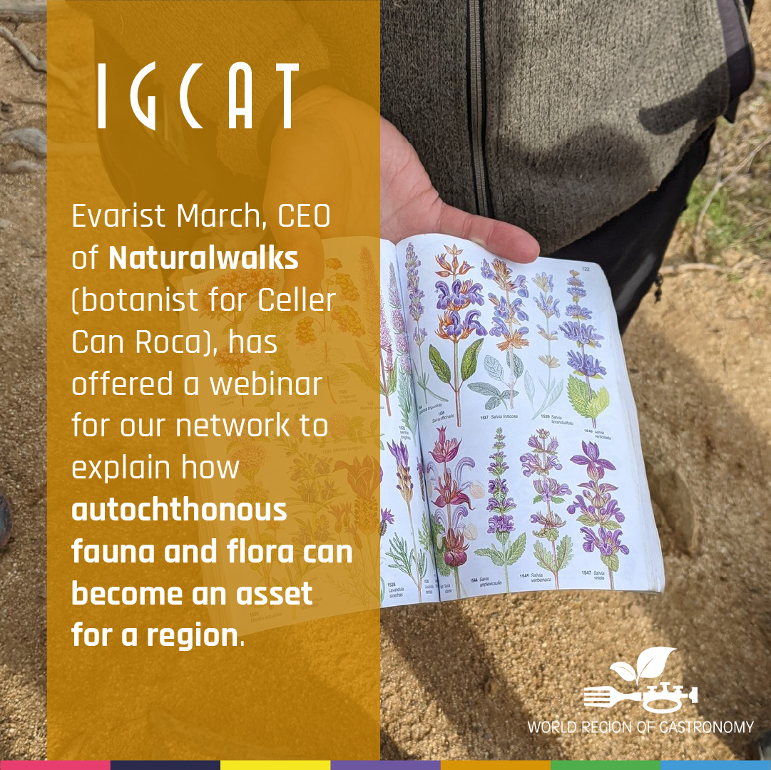 IGCAT2's tweet photo. Evarist March, CEO of Naturalwalks  (botanist for Celler Can Roca), has offered a webinar for our network to explain how autochthonous fauna and flora can become an asset for a region. 🚶‍♀️🚶🍃🍂
#IGCAT #RegionsofGastronomy #regionaldevelopment
#escolanaturalwalks #naturaleza https://t.co/XD7SdbkoLw