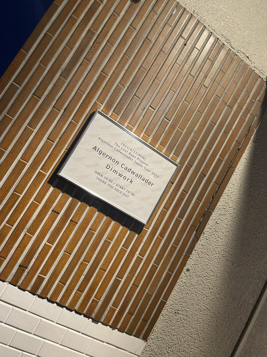 algernon cadwallader
再結成するとも思ってないし、
日本で観れるとも思ってないし、
最高🐒