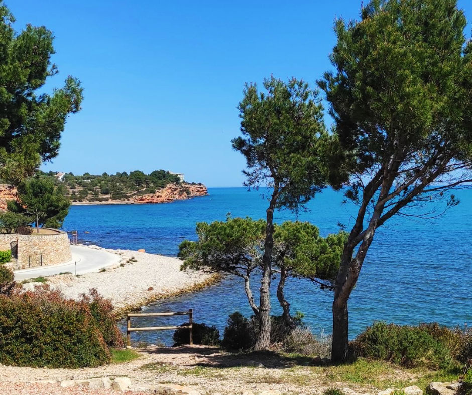 lampollaturisme's tweet photo. Bon dimarts 💙

#lAmpolla #VilesMarineres #terresdelebre #platges #mediterranean #vilesflorides 

@terresebretur @catexperience https://t.co/oF8A1Dl6P2