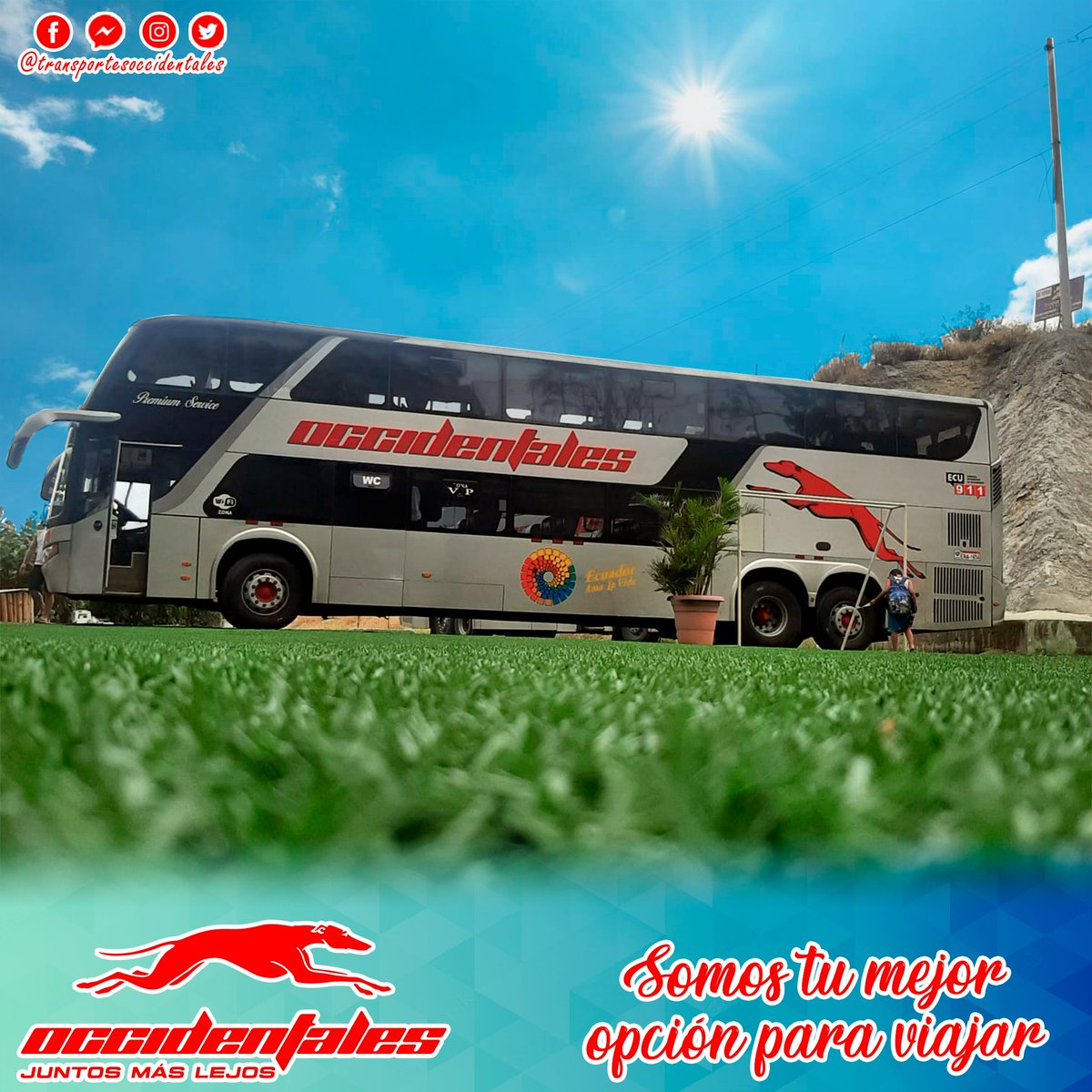 t_occidentales's tweet photo. Somos tu mejor opción 💫- Transportes Occidentales 🚌
Recuerda que puedes comprar tu pasaje 🎟️ por WhatsApp 🟢
📱Call center https://t.co/jkYsDgnqOe
✅ Seguridad
💺 Confort
🧑‍✈️ Excelente atención
🚌 Modernas unidades https://t.co/3XOOu0zON7