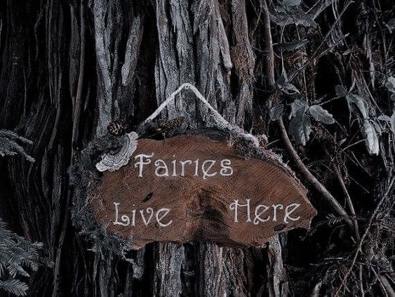 ✦ 𝐓𝐡𝐞 𝐰𝐢𝐭𝐜𝐡 ✦ tweet media