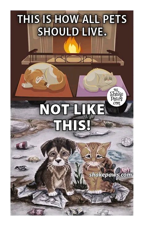 Williams Brooklyn tweet media