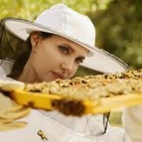 LadyRocketSpace's tweet photo. Join me 10 am PST to find out about my venture to save #Bees by going #ToTheMoon with #Bees Sounds @LadyRocketSpace, @CopernicSpace
https://t.co/uBEWWPHuC2
Find out how Angelina Jolie and @LVMH are all in with Bees. Get first #BeesInSpace NFTs - @spaceibles - https://t.co/UuzPRhCUB6