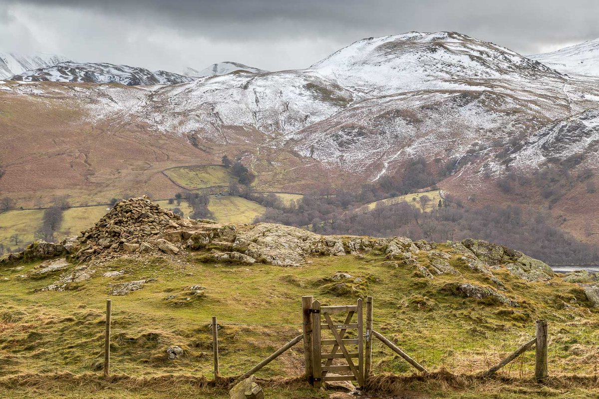 Andrew Locking tweet media