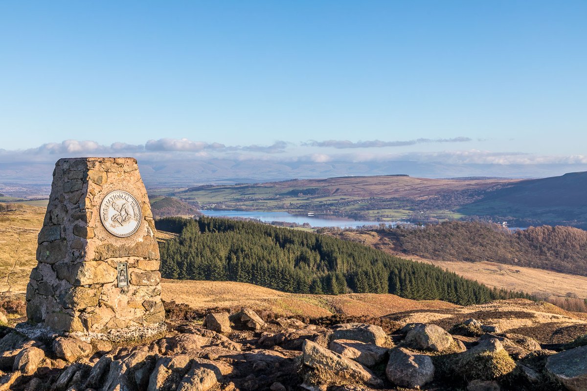 Andrew Locking tweet media