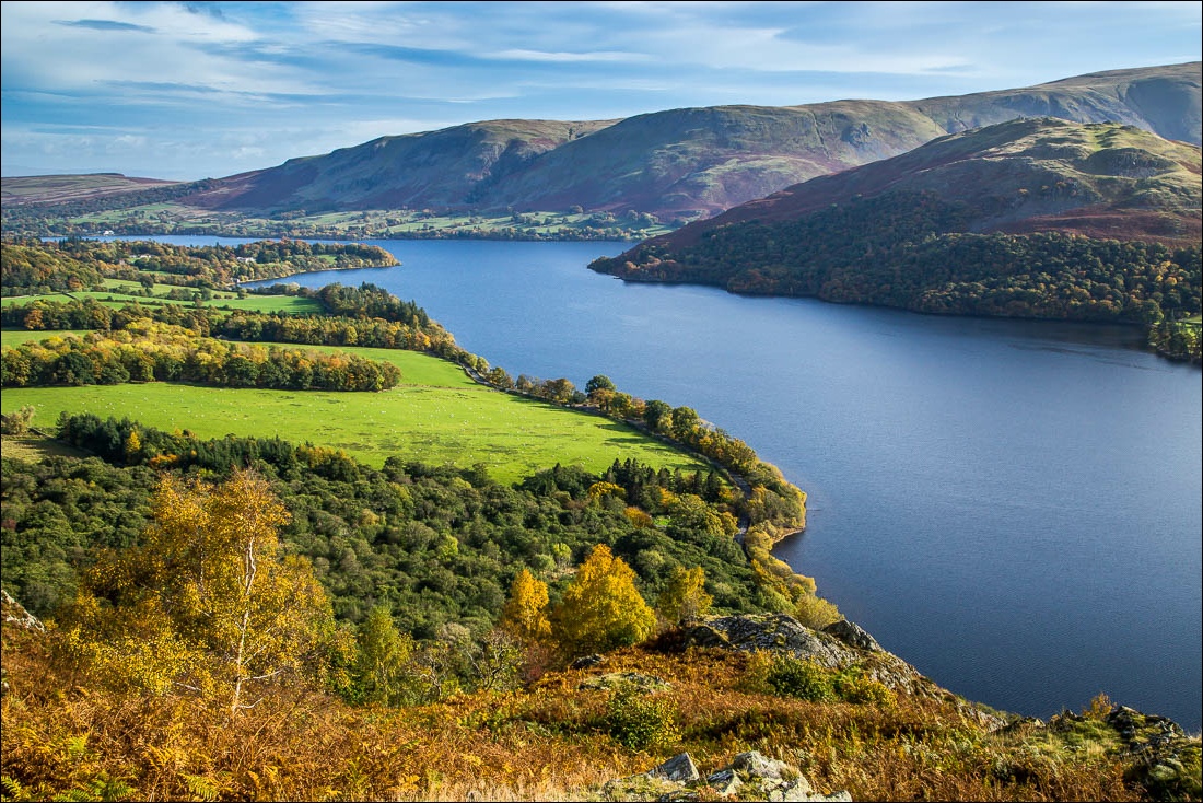 Andrew Locking tweet media