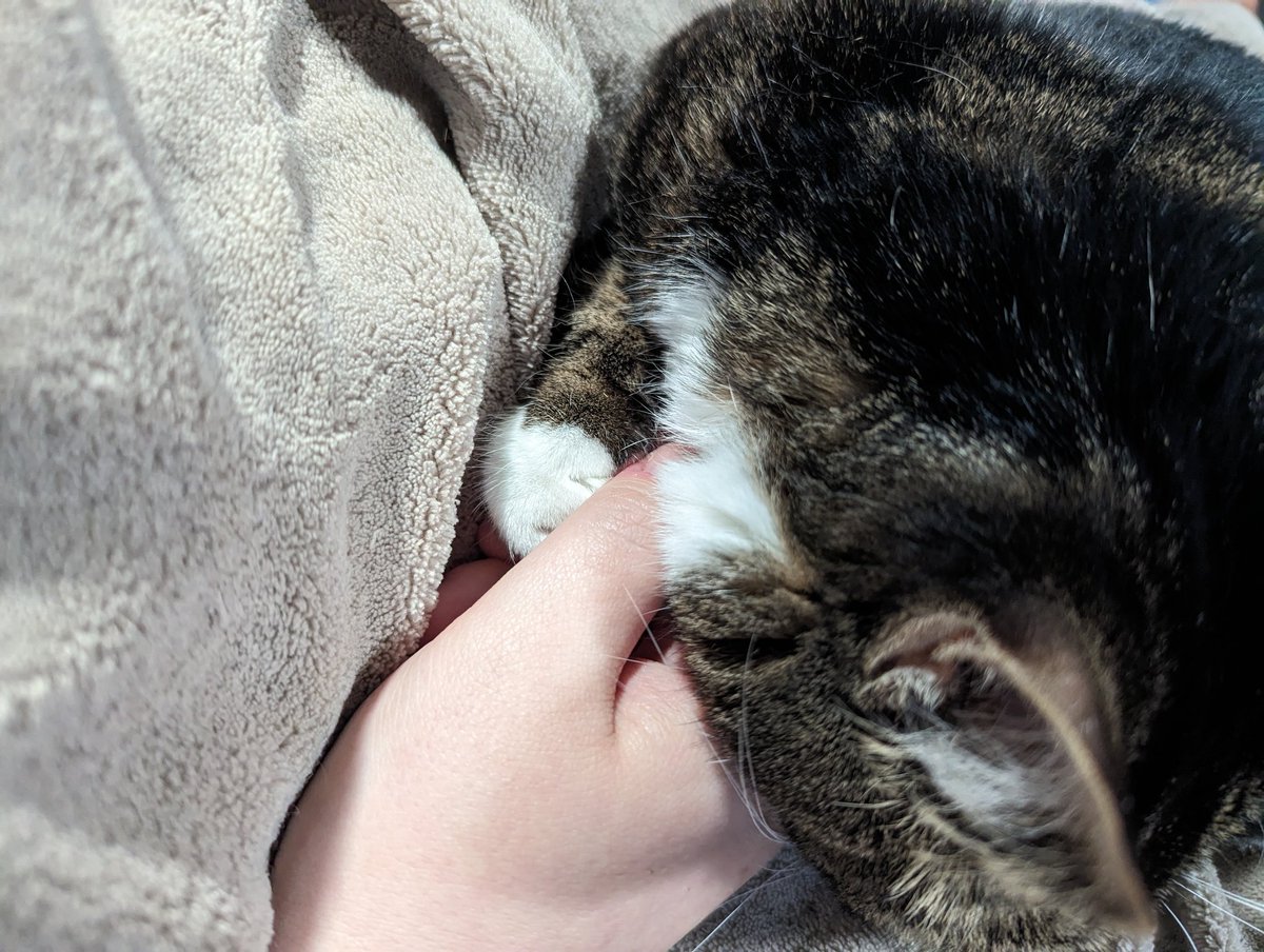 littolbabs's tweet photo. gotta holed mombe's hand whilst im sleep (-: https://t.co/CMyKkn28Hg