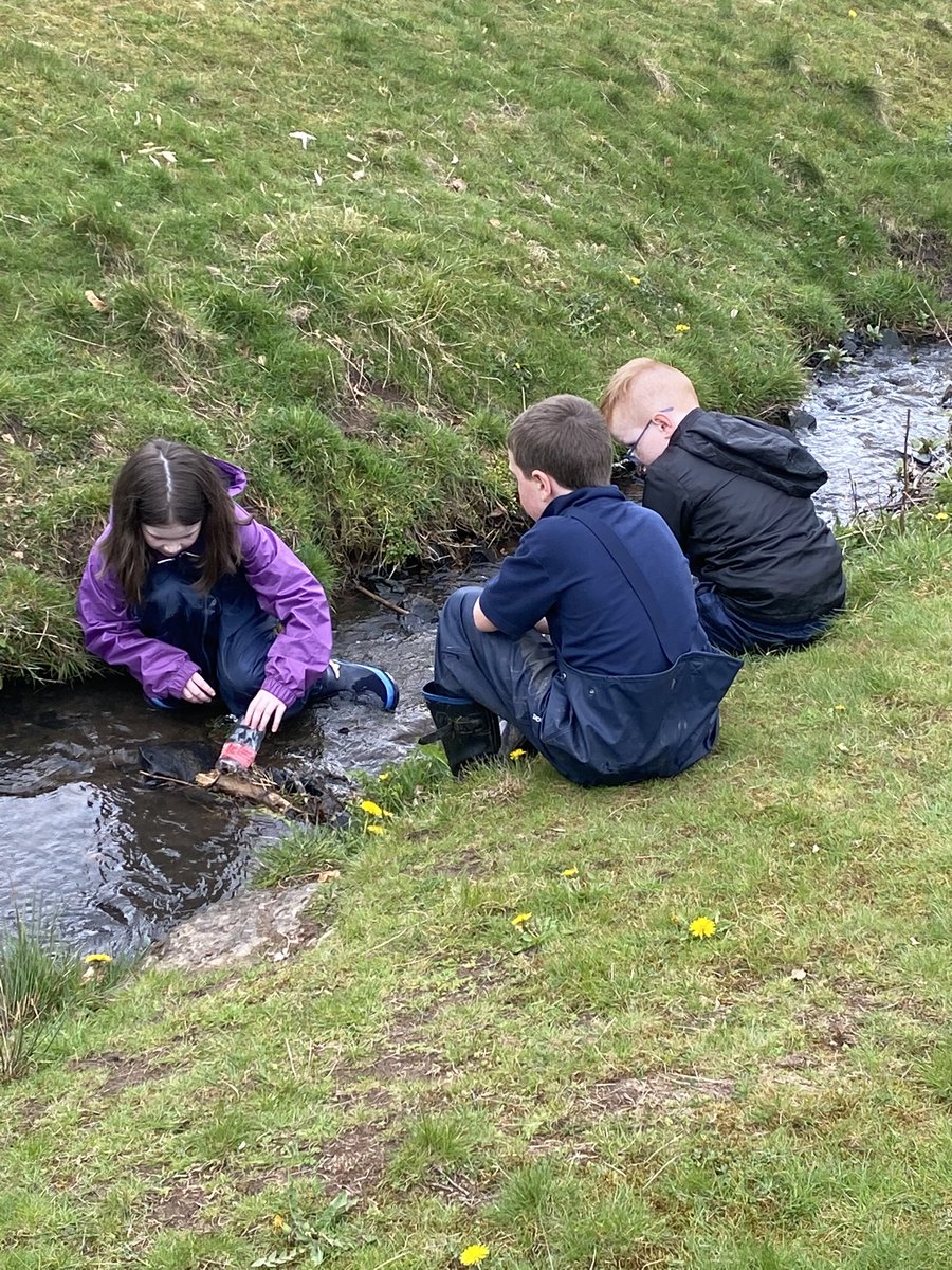 Fernhill School Primary 5 tweet media